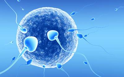 ivf specialist doctor delhi